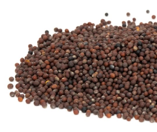 Brown Mustard 150 G - Mama Bear's Bounty-Seeds and Sprouts