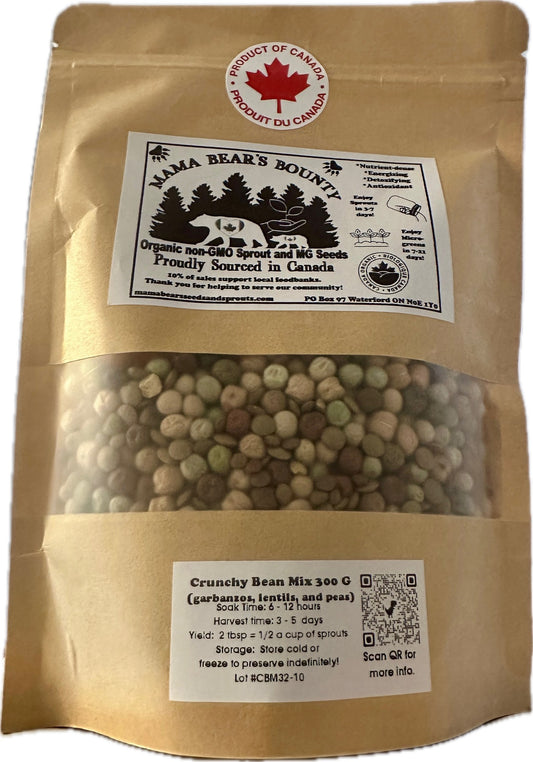 Crunchy Bean Mix 300 G
