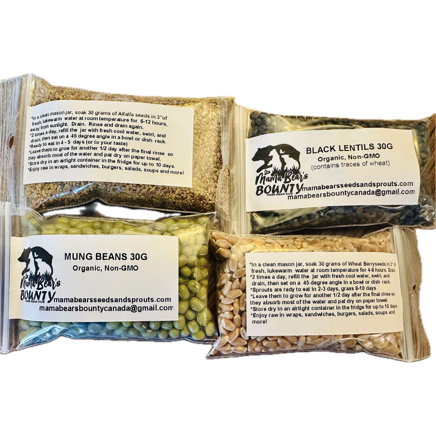 Seed Sprouting Sampler Kit #2 with Straining Lid & 4 X 30 G of Sprouting Seeds