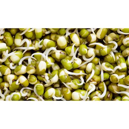 Mung Beans 150 G - Mama Bear's Bounty-Seeds and Sprouts