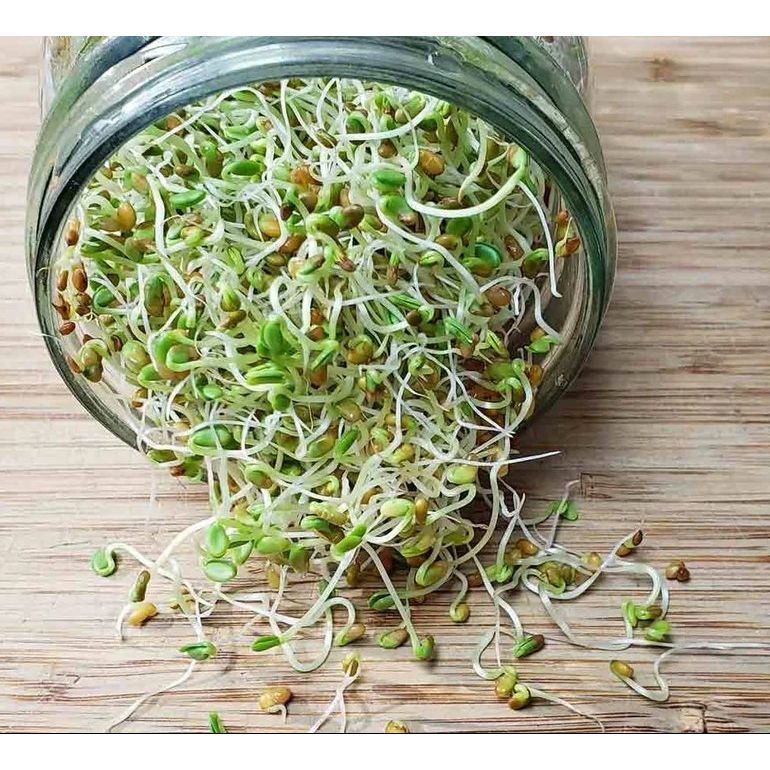 Red Clover 150 G - Mama Bear's Bounty-Seeds and Sprouts