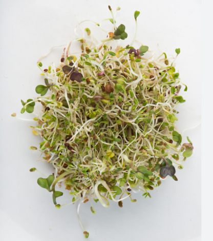 Spring Salad Mix 150G